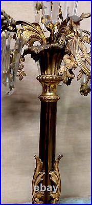 Couple Candlesticks Bronze Golden Hanging Crystal Metá Nineteenth Century